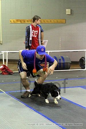 MCRD Unplugged Flyball Tournement<br />March 20th, 2010