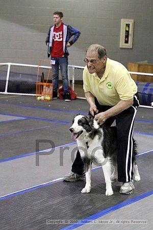 MCRD Unplugged Flyball Tournement<br />March 20th, 2010