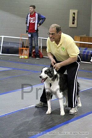 MCRD Unplugged Flyball Tournement<br />March 20th, 2010