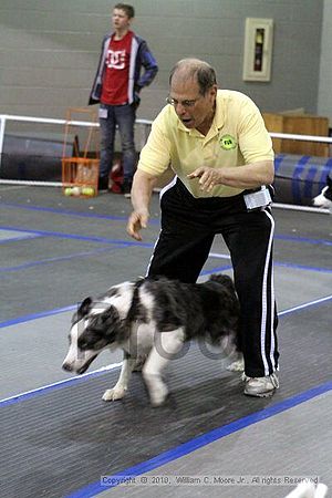 MCRD Unplugged Flyball Tournement<br />March 20th, 2010