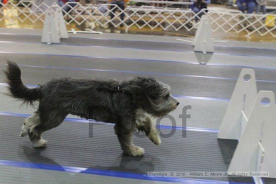 MCRD Unplugged Flyball Tournement<br />March 20th, 2010