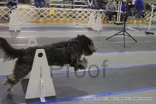 MCRD Unplugged Flyball Tournement<br />March 20th, 2010