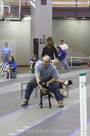 MCRD Unplugged Flyball Tournement<br />March 20th, 2010