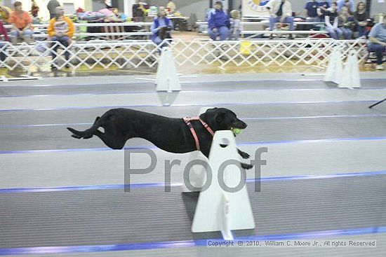 MCRD Unplugged Flyball Tournement<br />March 20th, 2010