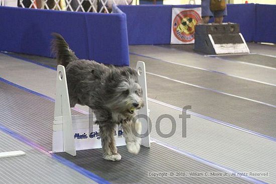 MCRD Unplugged Flyball Tournement<br />March 20th, 2010