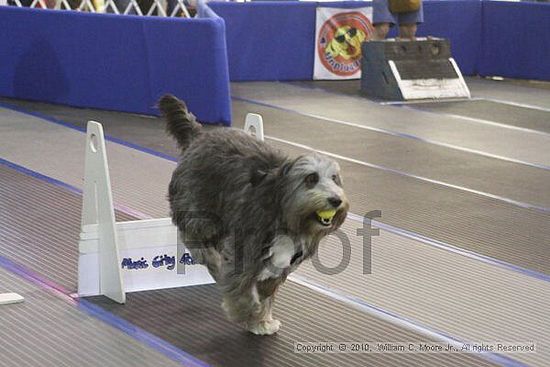 MCRD Unplugged Flyball Tournement<br />March 20th, 2010