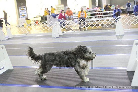 MCRD Unplugged Flyball Tournement<br />March 20th, 2010