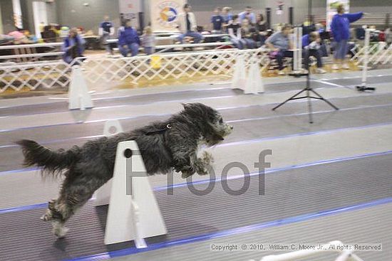 MCRD Unplugged Flyball Tournement<br />March 20th, 2010