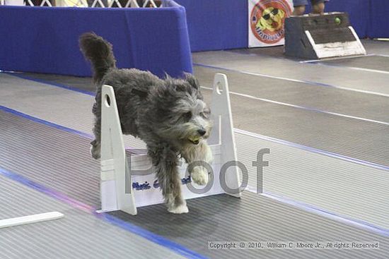 MCRD Unplugged Flyball Tournement<br />March 20th, 2010