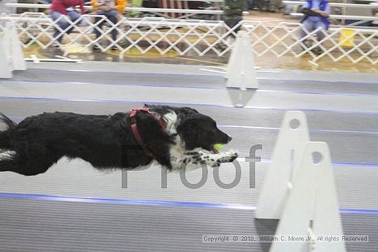 MCRD Unplugged Flyball Tournement<br />March 20th, 2010