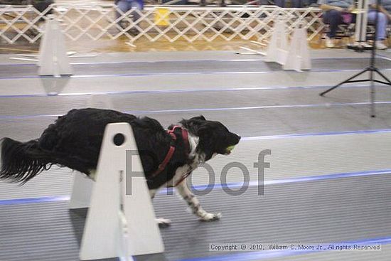 MCRD Unplugged Flyball Tournement<br />March 20th, 2010