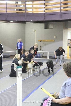 MCRD Unplugged Flyball Tournement<br />March 20th, 2010