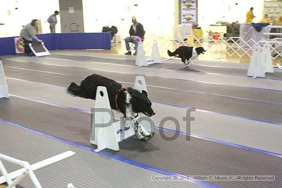 MCRD Unplugged Flyball Tournement<br />March 20th, 2010