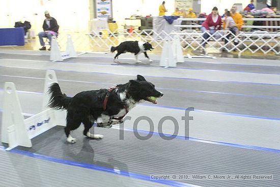 MCRD Unplugged Flyball Tournement<br />March 20th, 2010