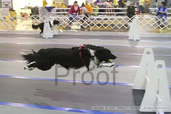 MCRD Unplugged Flyball Tournement<br />March 20th, 2010