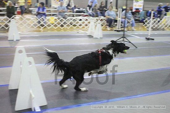 MCRD Unplugged Flyball Tournement<br />March 20th, 2010