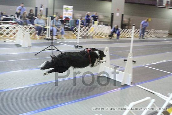 MCRD Unplugged Flyball Tournement<br />March 20th, 2010