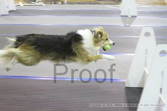 MCRD Unplugged Flyball Tournement<br />March 20th, 2010