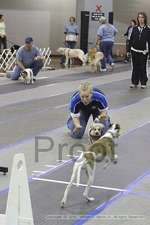 MCRD Unplugged Flyball Tournement<br />March 20th, 2010