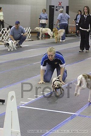 MCRD Unplugged Flyball Tournement<br />March 20th, 2010