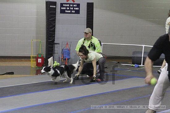 MCRD Unplugged Flyball Tournement<br />March 20th, 2010