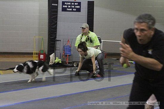 MCRD Unplugged Flyball Tournement<br />March 20th, 2010