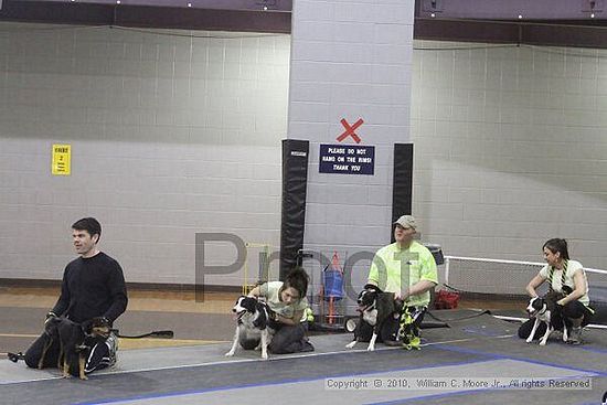 MCRD Unplugged Flyball Tournement<br />March 20th, 2010