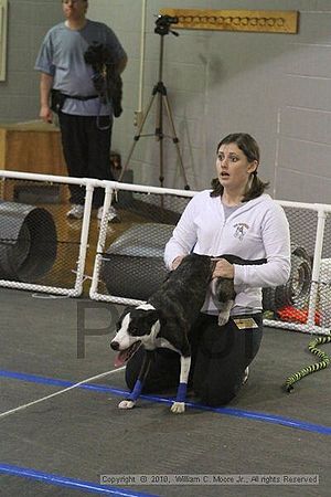 MCRD Unplugged Flyball Tournement<br />March 20th, 2010