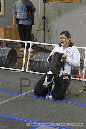 MCRD Unplugged Flyball Tournement<br />March 20th, 2010