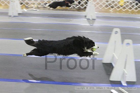 MCRD Unplugged Flyball Tournement<br />March 20th, 2010