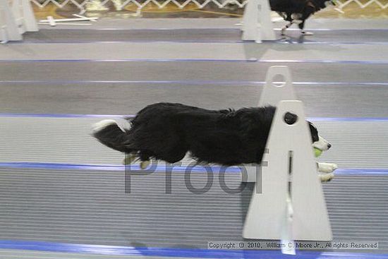 MCRD Unplugged Flyball Tournement<br />March 20th, 2010