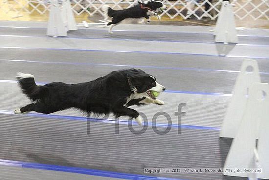 MCRD Unplugged Flyball Tournement<br />March 20th, 2010