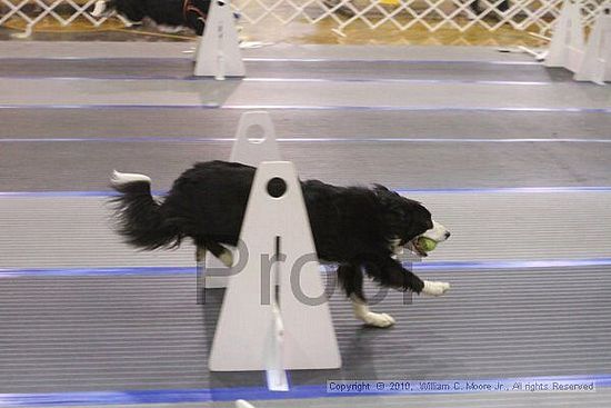 MCRD Unplugged Flyball Tournement<br />March 20th, 2010