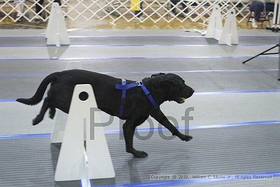 MCRD Unplugged Flyball Tournement<br />March 20th, 2010