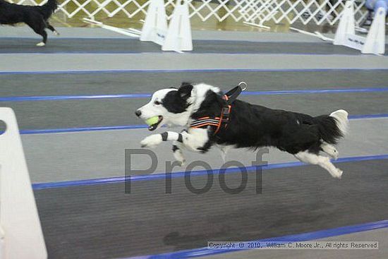 MCRD Unplugged Flyball Tournement<br />March 20th, 2010