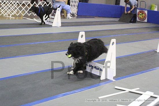 MCRD Unplugged Flyball Tournement<br />March 20th, 2010