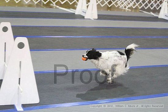 MCRD Unplugged Flyball Tournement<br />March 20th, 2010