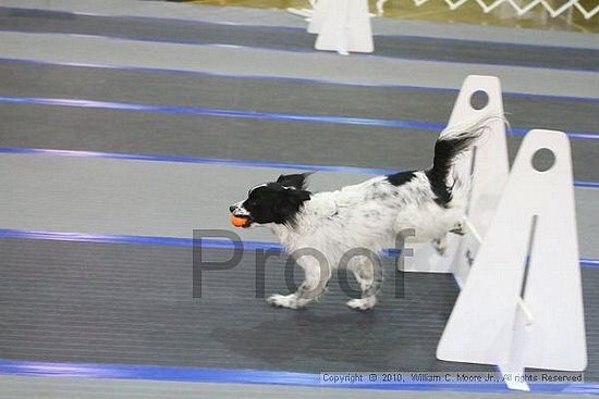 MCRD Unplugged Flyball Tournement<br />March 20th, 2010