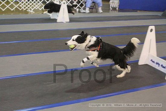 MCRD Unplugged Flyball Tournement<br />March 20th, 2010