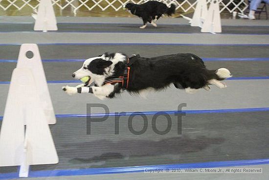 MCRD Unplugged Flyball Tournement<br />March 20th, 2010