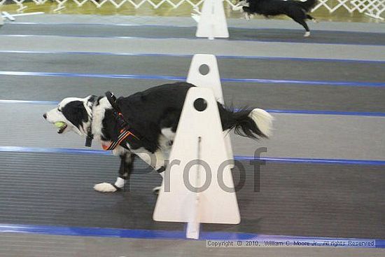 MCRD Unplugged Flyball Tournement<br />March 20th, 2010