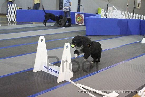 MCRD Unplugged Flyball Tournement<br />March 20th, 2010