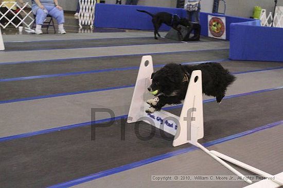 MCRD Unplugged Flyball Tournement<br />March 20th, 2010