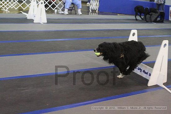 MCRD Unplugged Flyball Tournement<br />March 20th, 2010