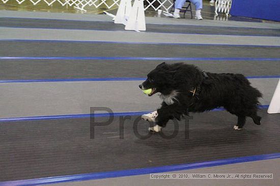 MCRD Unplugged Flyball Tournement<br />March 20th, 2010