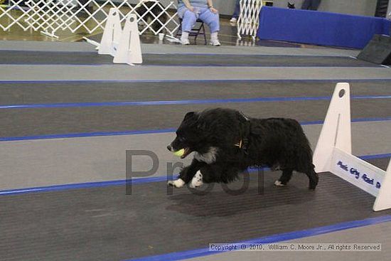 MCRD Unplugged Flyball Tournement<br />March 20th, 2010