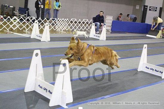 MCRD Unplugged Flyball Tournement<br />March 20th, 2010