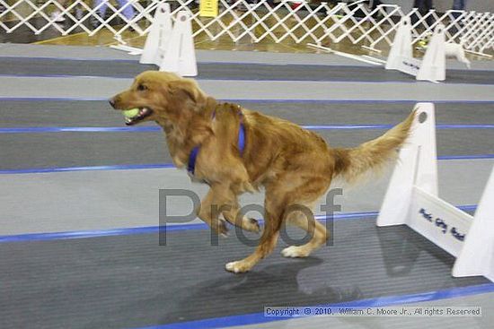 MCRD Unplugged Flyball Tournement<br />March 20th, 2010