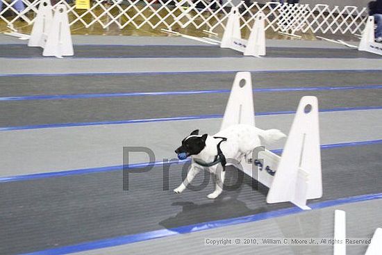 MCRD Unplugged Flyball Tournement<br />March 20th, 2010