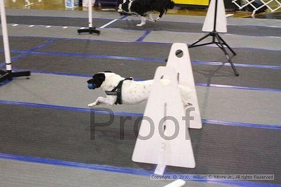 MCRD Unplugged Flyball Tournement<br />March 20th, 2010